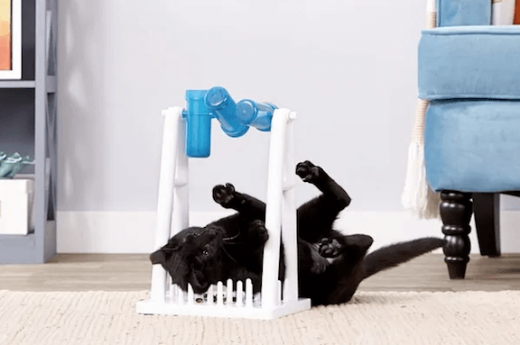 cat on its back playing with food puzzle containers