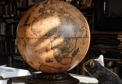 cat sniffing a globe