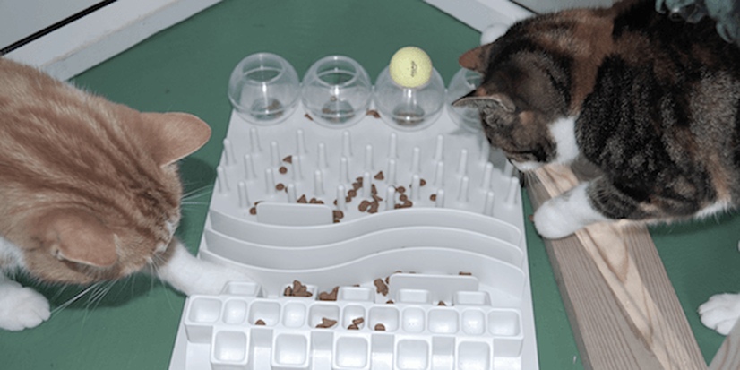 2 cats playing with kibble in a food puzzle