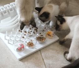 3 siamese cats playing with food puzzle