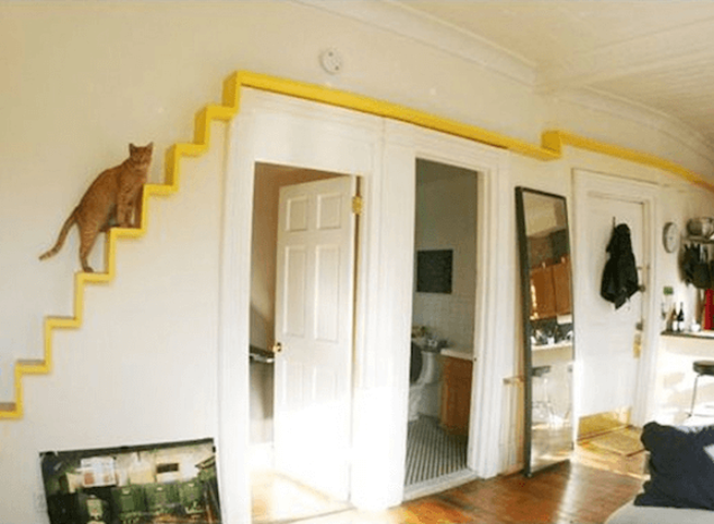 orange cat climbing yellow wall stairs