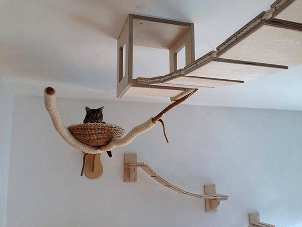 cat sitting in custom basket suspended from ceiling
