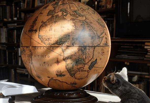 cat looking closely at a globe